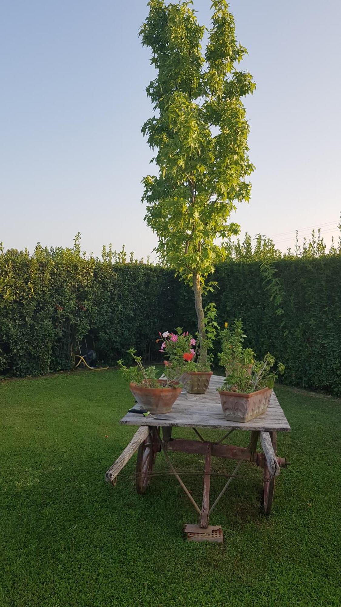 Apartamento Leupupe Relax Cultura Mare Monti Cascina Exterior foto